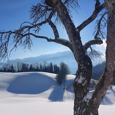 Bergapart Goetschl Rettenschoess Exteriér fotografie
