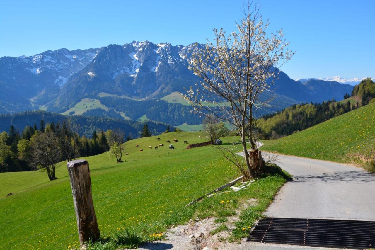 Bergapart Goetschl Rettenschoess Exteriér fotografie