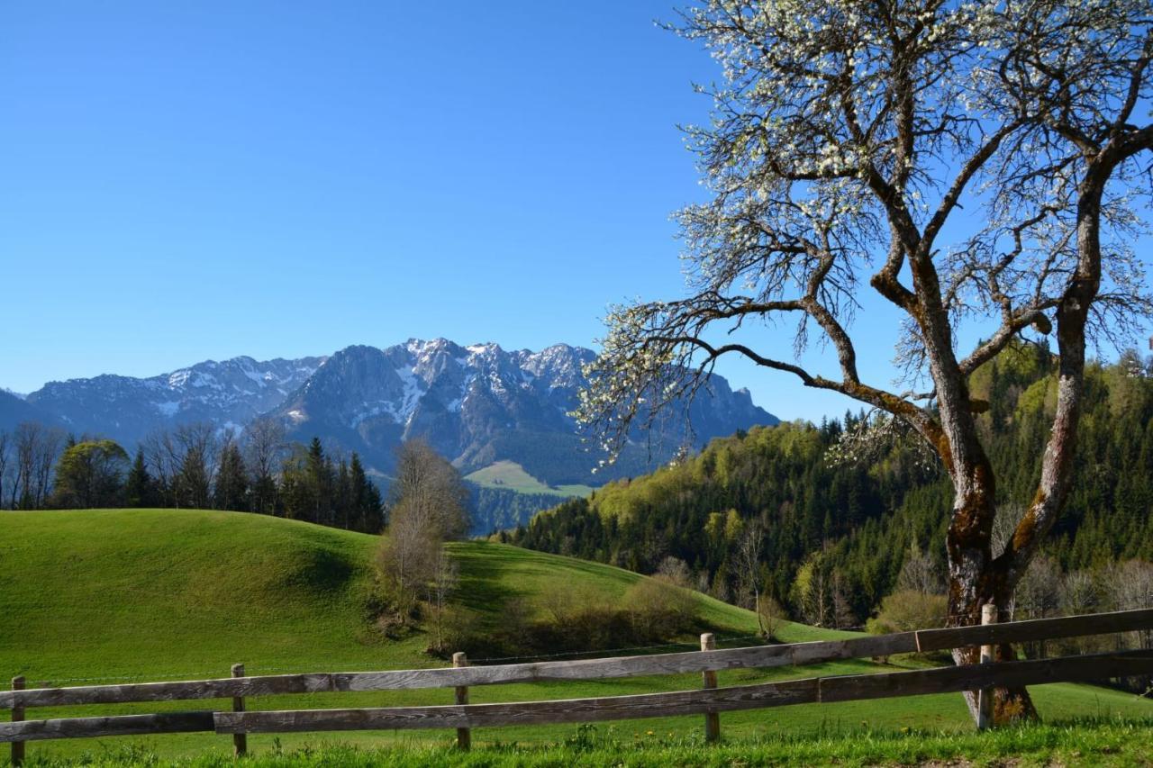 Bergapart Goetschl Rettenschoess Exteriér fotografie