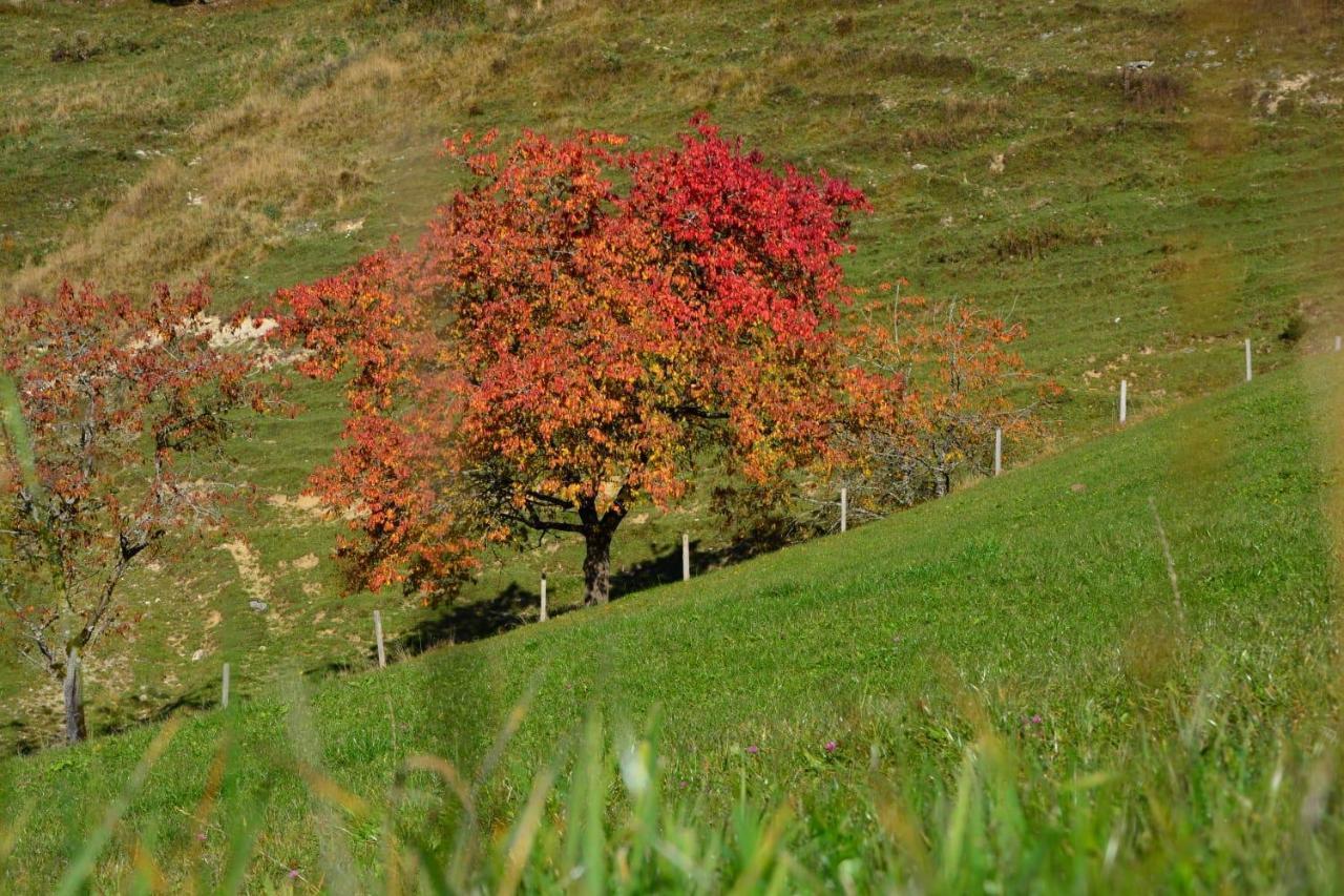 Bergapart Goetschl Rettenschoess Exteriér fotografie