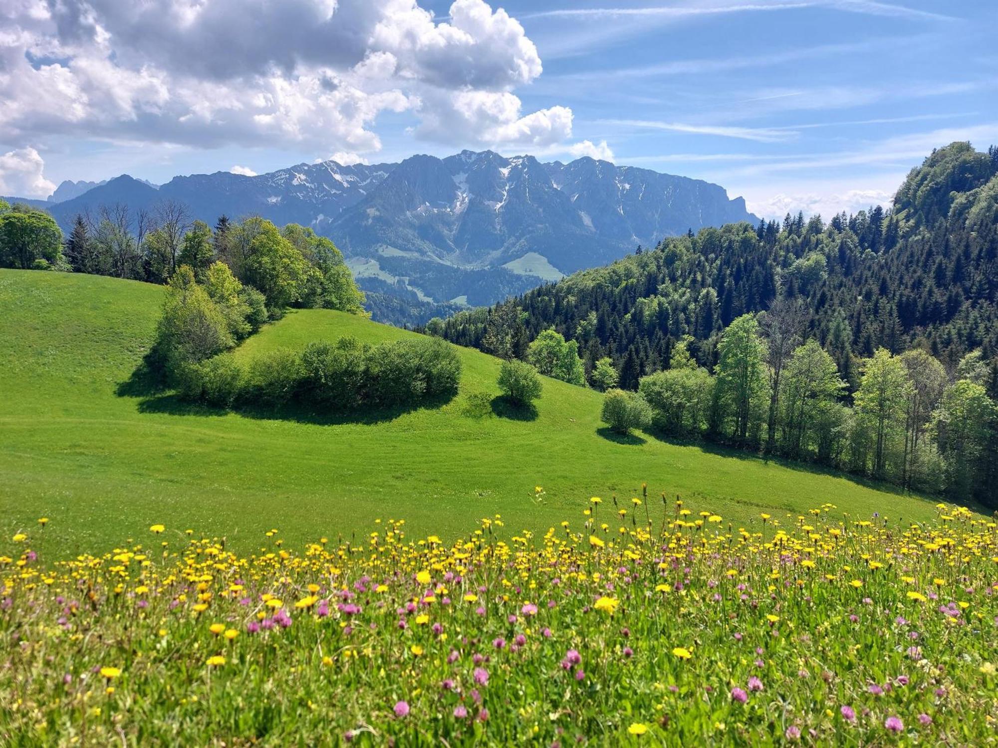 Bergapart Goetschl Rettenschoess Exteriér fotografie