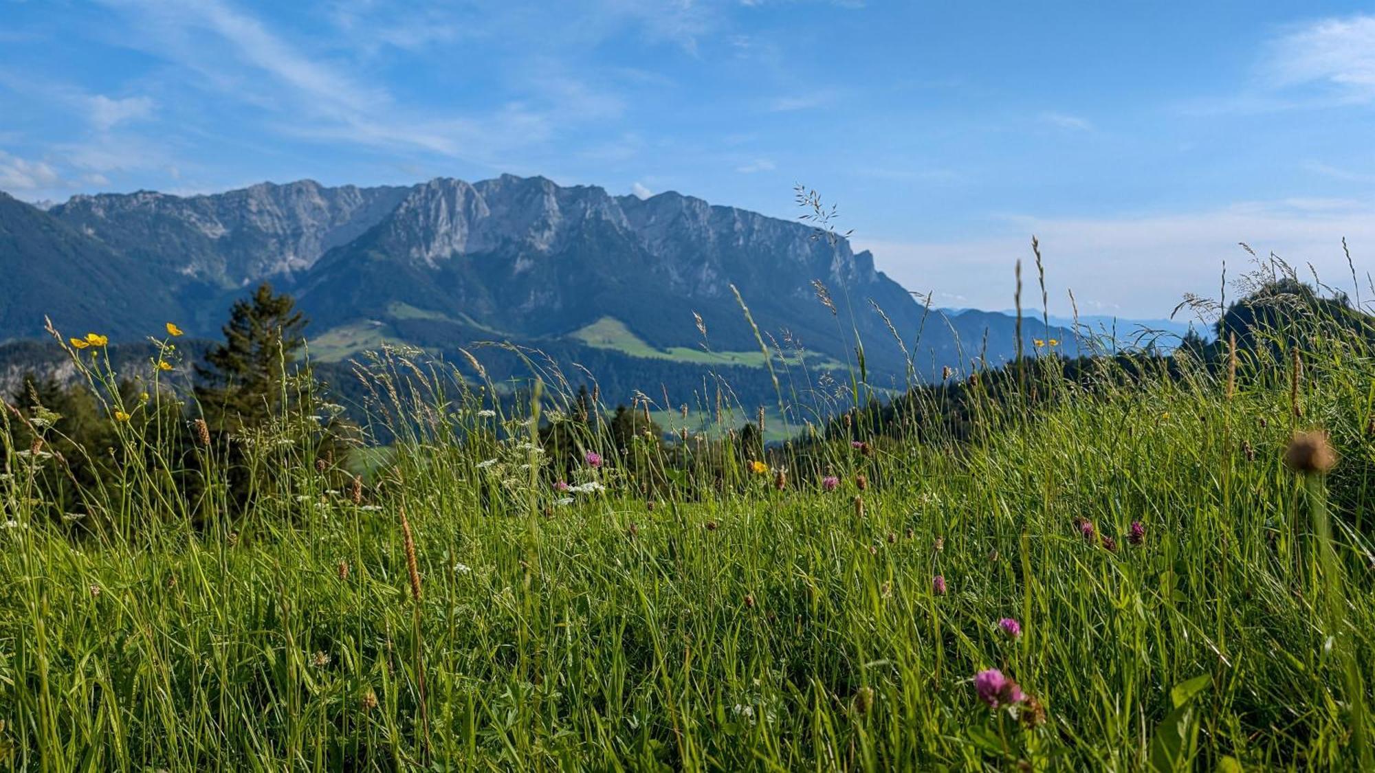 Bergapart Goetschl Rettenschoess Exteriér fotografie